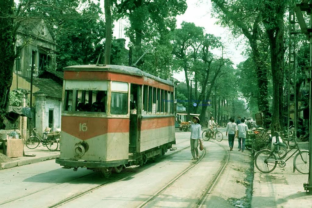 trams008